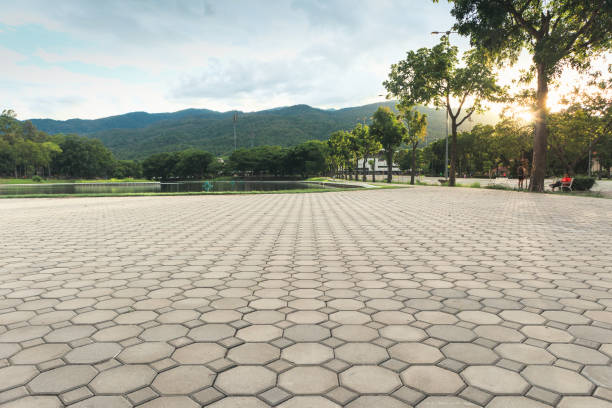 Best Residential Driveway Paver Services  in Somerville, NJ